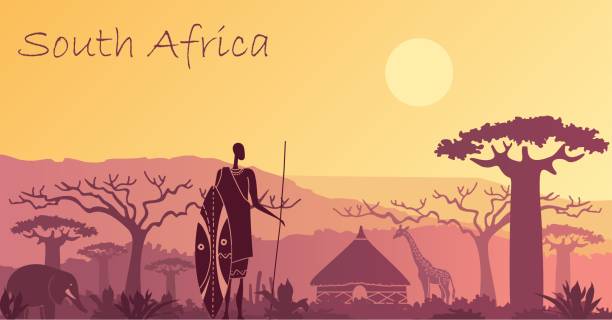 справочная информация с ландшафтом южной африки - south africa stock illustrations