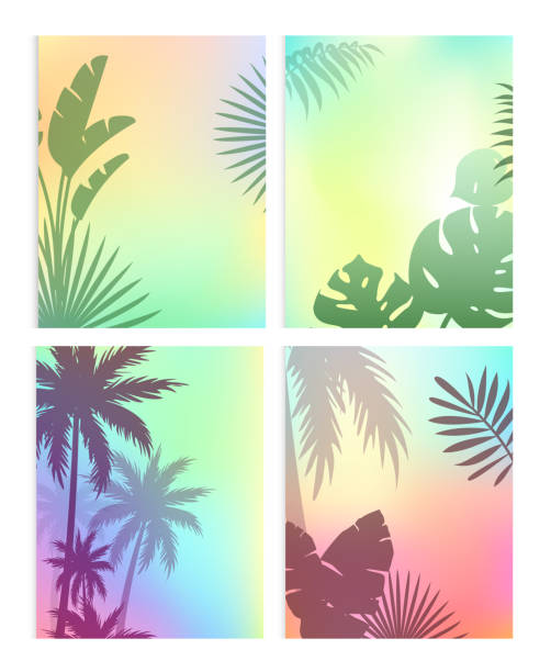 Background with summer leaves vector illustration set, cartoon flat silhouettes of green coconut palm tree leaf, plant of tropical nature, exotic jungle floral border design Background with summer leaves vector illustration set. Cartoon flat silhouettes of green coconut palm tree leaf, plant of tropical nature, exotic jungle. Floral border design for flyer, banner, poster brochure silhouettes stock illustrations