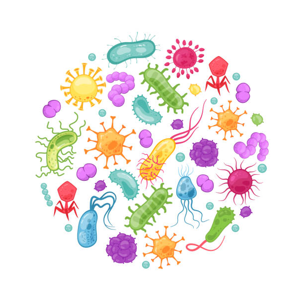 stockillustraties, clipart, cartoons en iconen met bacterie kiem. maag virussen biologische allergie microben bacterie epidemiologie bacteriële infectiekiemen griep ziekten vector cellen - bacterie