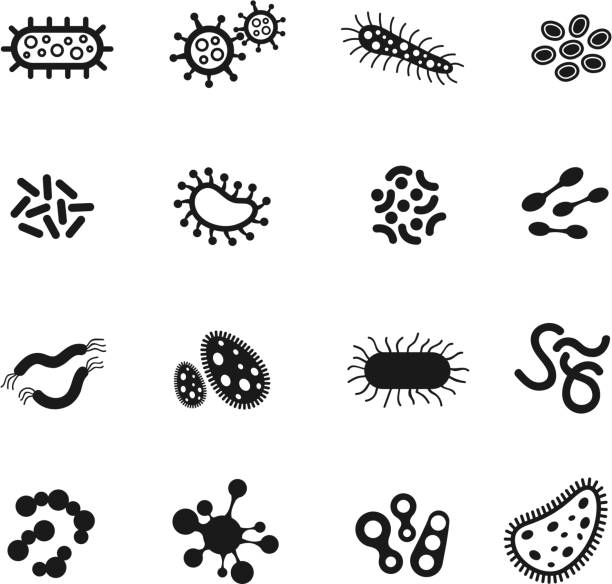 Bacteria, microbes, superbug, virus vector icons Bacteria, microbes, superbug, virus vector icons. Bacteria medicine and science biology virus infection, microscopic bacteria set illustration fungus stock illustrations