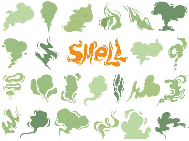 Bad smell. Steam smoke clouds of cigarettes or expired old food vector cooking cartoon icons Bad smell. Steam smoke clouds of cigarettes or expired old food vector cooking cartoon icons. Illustration of smell vapor, cloud green aroma smelling stock illustrations