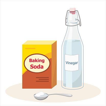 Baking soda, white vinegar and spoon isolated on white background vector illustration.