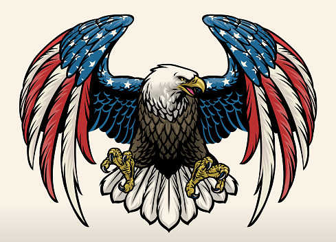 vector of bald eagle with america flag color