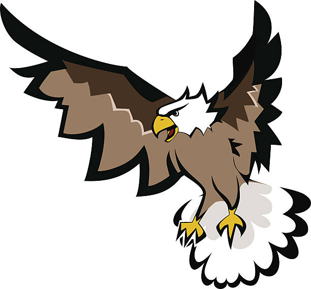 Bald eagle with open wings. vector art illustration