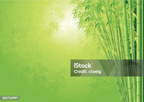 istock bamboo background 165733997