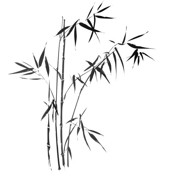 Bamboo branches Vector illustration of bamboo branches in traditional asian black-and-white style bamboo plant stock illustrations