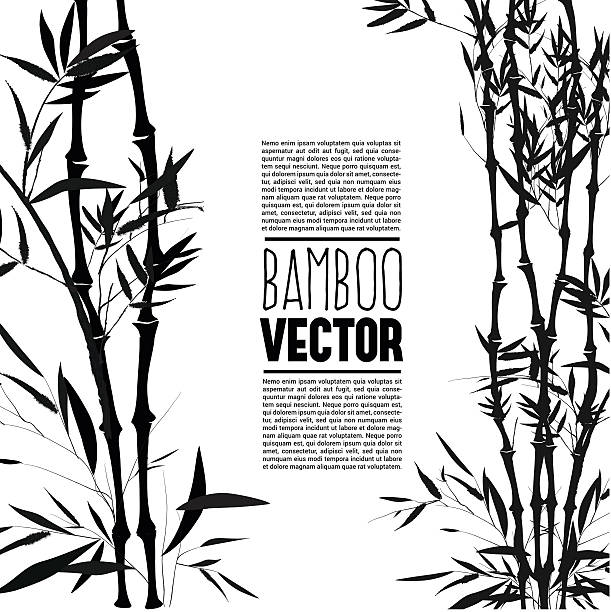 Bamboo bush, ink painting over the white background Bamboo bush, ink painting over the white background bamboo plant stock illustrations