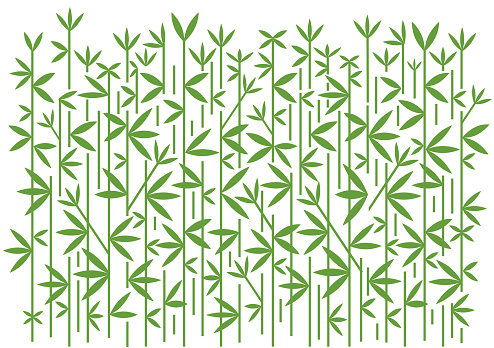 Bamboo decorative green background