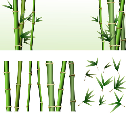 Bamboo Design Elements