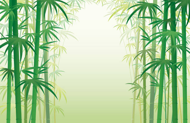 Bamboo Garden Forest Background vector art illustration