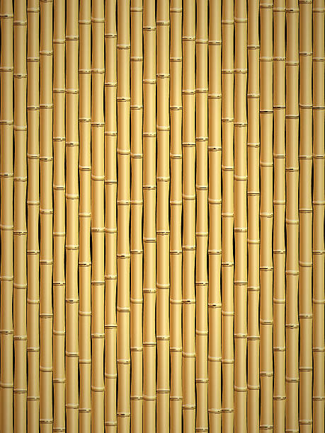 Bamboo pattern Brown bamboo stick pattern background.  bamboo material stock illustrations