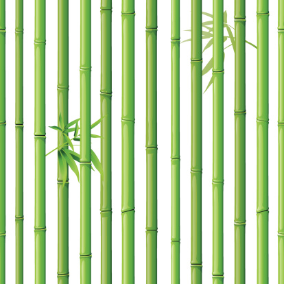 Bamboo Seamless