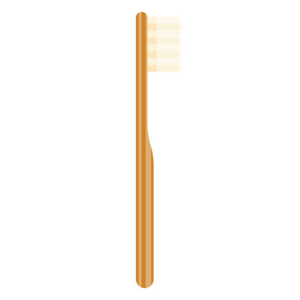 bambus-zahnbürste-symbol auf transparentem hintergrund - brushed eco vector stock-grafiken, -clipart, -cartoons und -symbole