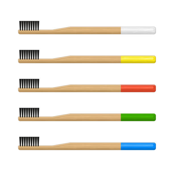bambus-zahnbürste set auf weißem hintergrund. vektor - brushed eco vector stock-grafiken, -clipart, -cartoons und -symbole