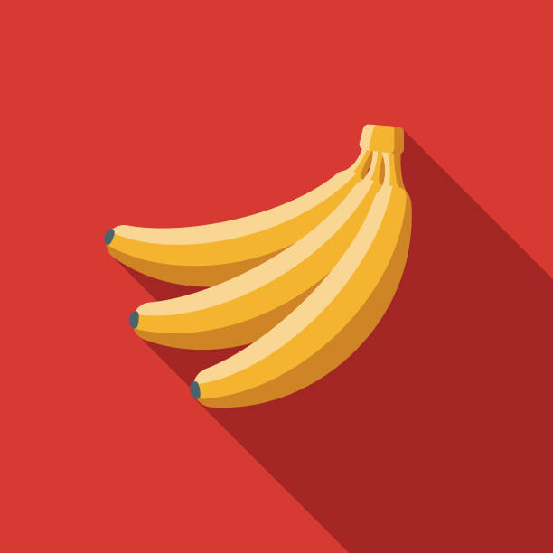 Banana Flat Design Breakfast Icon A breakfast food and beverage themed icon. File is built in the CMYK color space for optimal printing, and can easily be converted to RGB. Color swatches are global for quick and easy color changes throughout the entire set of icons. banana icons stock illustrations