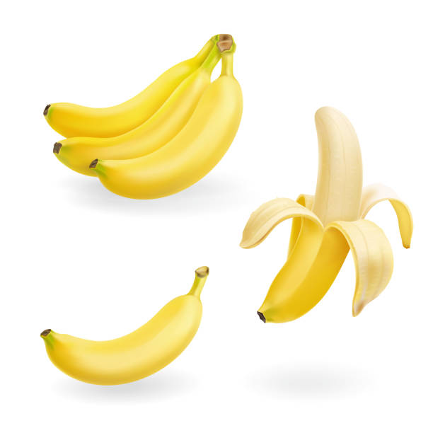 banane frucht set realistische symbole vektorgrafik - banana stock-grafiken, -clipart, -cartoons und -symbole