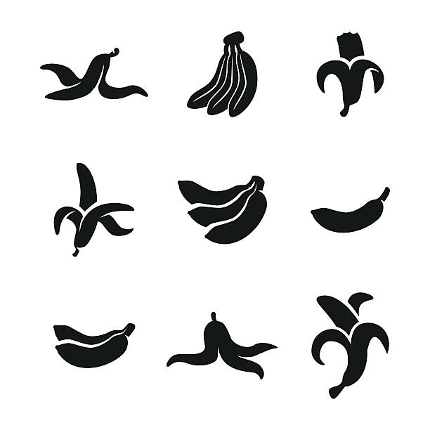 Banana vector icons Banana vector icons. Simple illustration set of 9 banana elements, editable icons, can be used in logo, UI and web design banana icons stock illustrations
