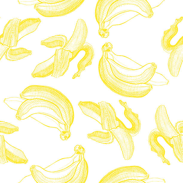 Bananas engraving drawing. Seamless wallpaper pattern. Banana engraving drawing. Seamless wallpaper pattern. Fruit and food themes. Good for wallpaper, textile, background, design. banana backgrounds stock illustrations