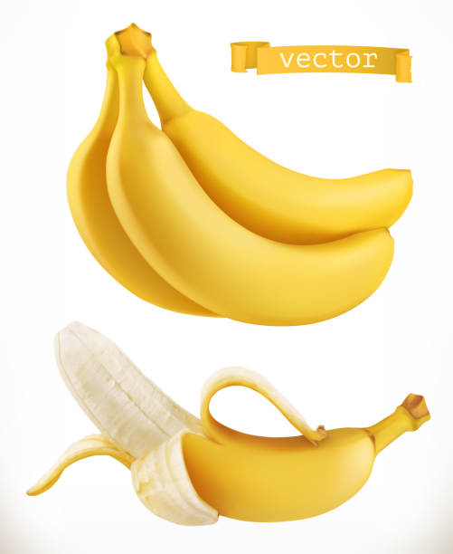 bananen. frisches obst 3d realistische vektor icon - banana stock-grafiken, -clipart, -cartoons und -symbole