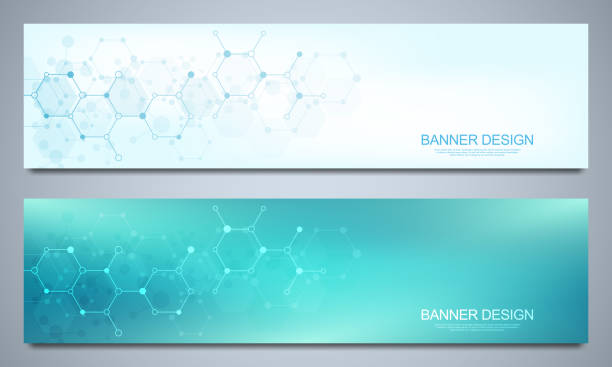 Banners design template and headers for site with molecular structures. Abstract vector background. Science, medicine and innovation technology concept. Decoration website and other ideas. Banners design template and headers for site with molecular structures. Abstract vector background. Science, medicine and innovation technology concept. Decoration website and other ideas laboratory backgrounds stock illustrations