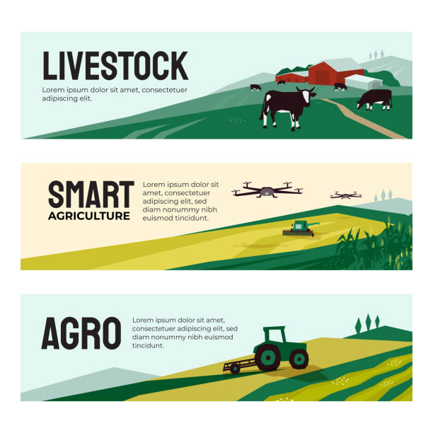 Banners of agricultural company, smart farming, livestock Vector illustrations of agriculture, smart farm with drone control, livestock, agricultural buildings. Set of banners with tractor on field, cows in pasture. Template for web, prints, annual report. drone backgrounds stock illustrations