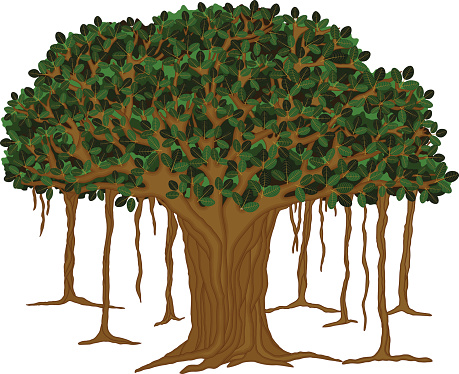Banyan Tree-Vector illustration