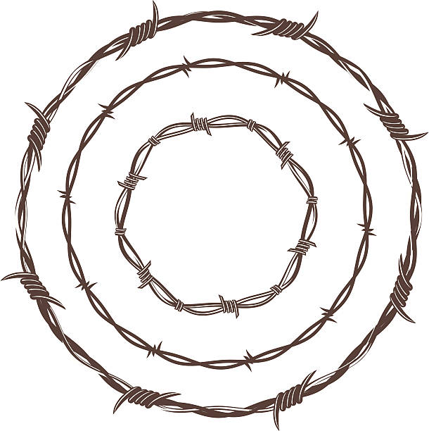 Barbed Wire Rings 3 different styles of barbed wire rings barbed wire stock illustrations