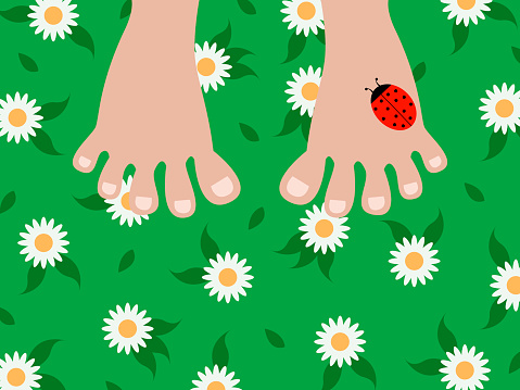 bare feet close-up on the grass with white meadow flowers and a ladybug