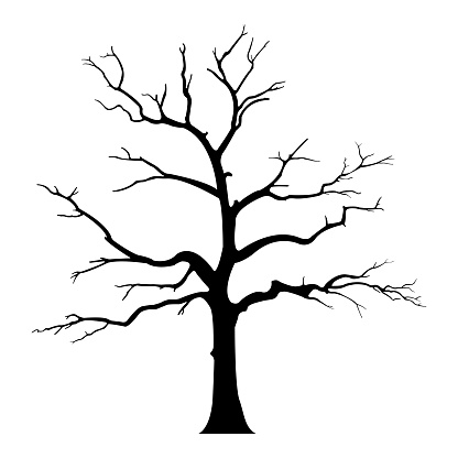 Bare tree silhouette without barren leaves dead