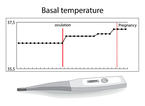 Basal temperature