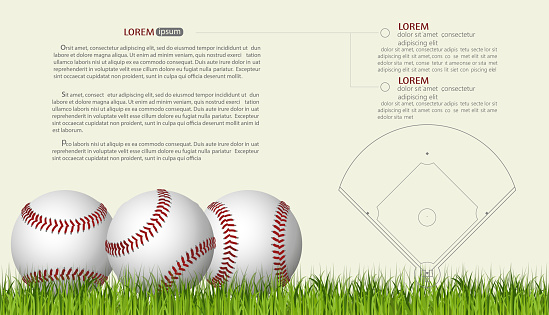 Baseball Banner template, game ball with shadow. vector