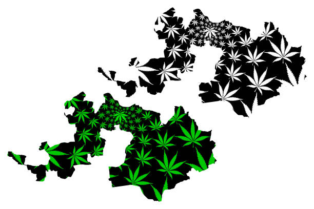 Basel-Landschaft (Cantons of Switzerland, Swiss cantons, Swiss Confederation) map is designed cannabis leaf green and black, Canton of Basel-Country map made of marijuana (marihuana,THC) foliage Basel-Landschaft (Cantons of Switzerland, Swiss cantons, Swiss Confederation) map is designed cannabis leaf green and black, Canton of Basel-Country map made of marijuana (marihuana,THC) foliage basel landschaft canton stock illustrations