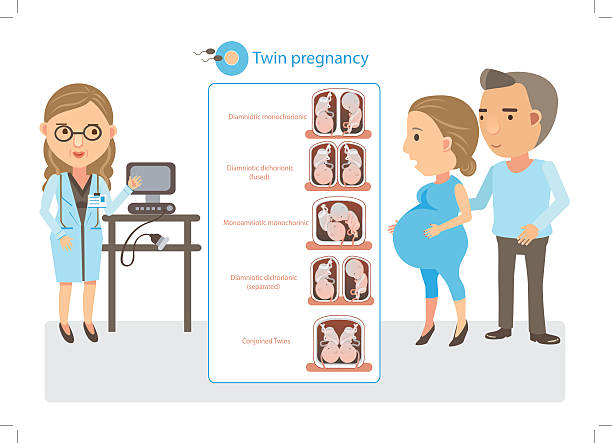 Basic RGB doctor explained twin pregnancy. Cartoon vector illustration. twins stock illustrations