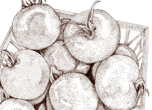 Basket of Tomatoes in Sepia ink
