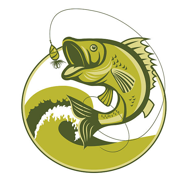 Bass Fish. Bass Fishing Lures. Bass Fishing tackle. Bass Fish. Bass Fishing Lures. Bass Fishing tackle. Bass Fishing hook. Catching Bass Fish Vector. Fish Mascot. Fish Jumping Of Water. Perch Fishing Vector Illustration. Fish Jumping With Waves Inside Circle On Isolated White Background. bass fish jumping stock illustrations