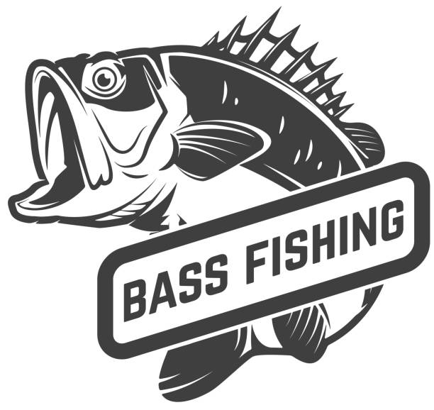 Bass fishing club. Emblem template with perch. Design element for label, sign, poster. Vector illustration Bass fishing club. Emblem template with perch. Design element for label, sign, poster. Vector illustration bass fish jumping stock illustrations