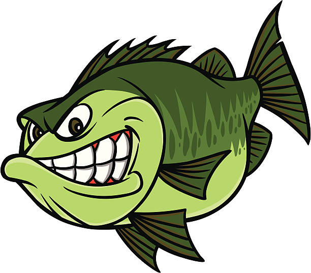 бас рыбалка маскот - cartoon of the rockfish stock illustrations.