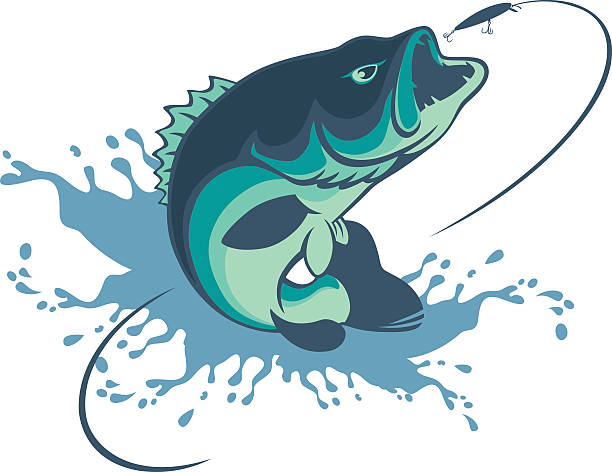 bass fishing for bass bass fish jumping stock illustrations