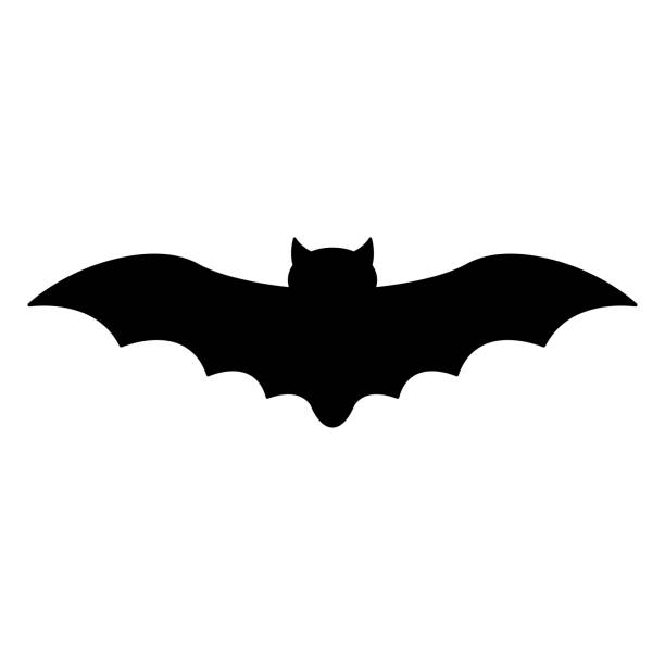 Bat Silhouette Black flying bat silhouette isolated on white background bat stock illustrations
