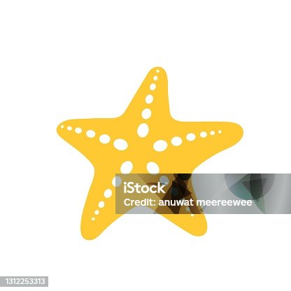 istock Beach starfish for summer Leave space for adding text. Isolated on white background. 1312253313