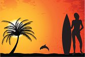 Beach sunset with silhouettes of a surfer, palm tree, and a dolphin.