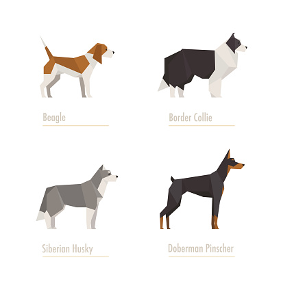 Beagle, Border Collie, Siberian Husky and Doberman low poly characters.