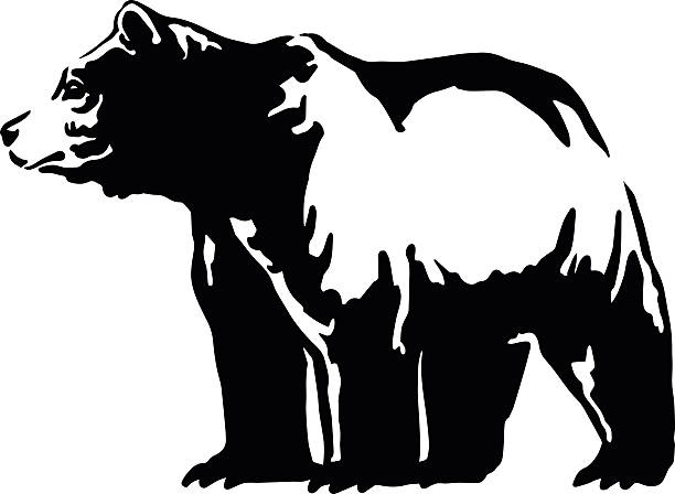 bear emblem walking bear and animal head black and white vector  brown bear stock illustrations