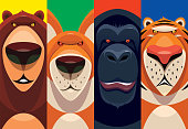 vector illustration of four animals - bear fox chimpanzee tiger