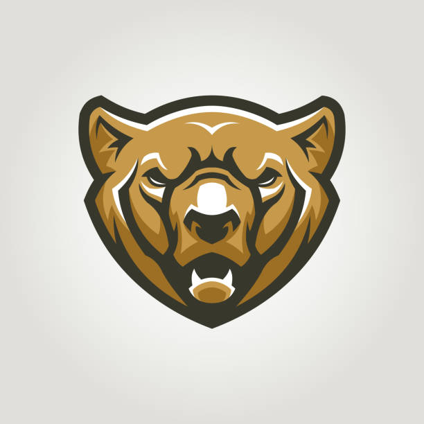Bear head. Angry grizzly bear character mascot. Bear head with open mouth. Angry grizzly bear vector character. bear growling stock illustrations