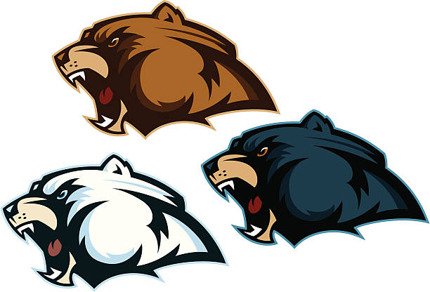 Bear Heads Three bear heads representing Grizzly, Polar and Black Bears. bear growling stock illustrations