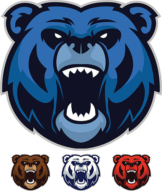 Bear Mascot Heads Aggressive Bear Mascot Heads. Clean lines and easy to change colors looks great in one or multiple colors. bear growling stock illustrations