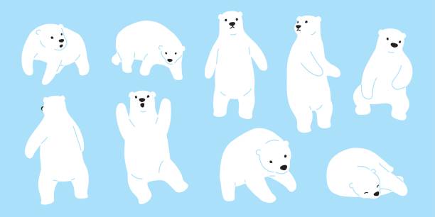 白熊 子供 イラスト素材 Istock
