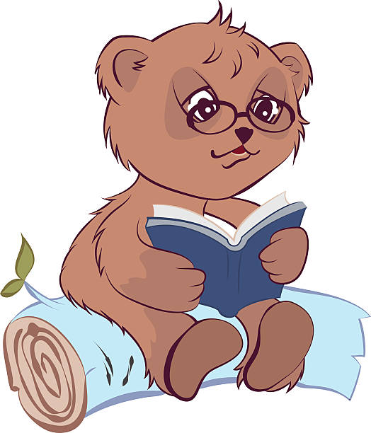 Bear reading book Bear reading open book. Vector cartoon illustration teddy ray stock illustrations