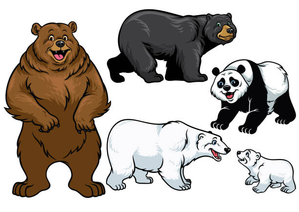 bear set in cartoon style vector of bear set in cartoon style brown bear stock illustrations